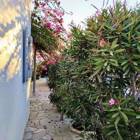 Despina's Mare Aparthotel 4*