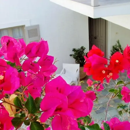 Despina's Mare 4* Naousa (Paros)