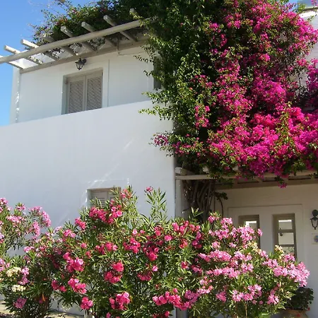 Despina's Mare Naousa (Paros)