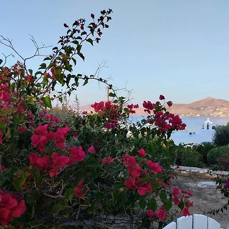 Despina's Mare Naousa (Paros)