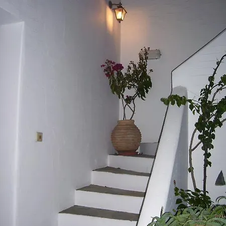 Aparthotel Despina's Mare Nausa