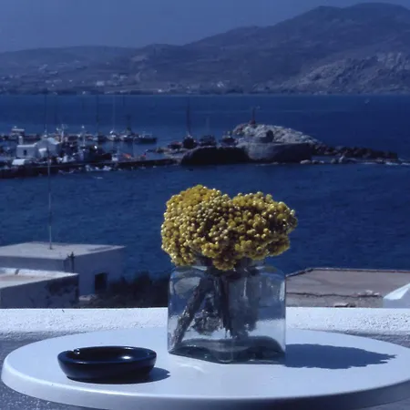 Despina's Mare Naousa