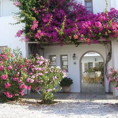 Aparthotel Despina's Mare Nausa