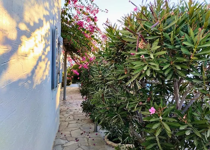 Despina's Mare Aparthotel 4*