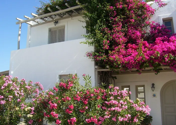 Despina's Mare Naousa (Paros)