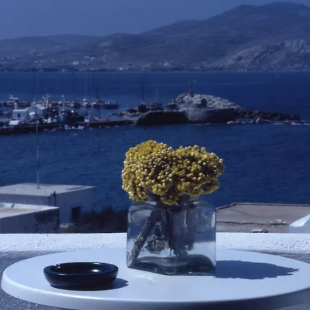 Aparthotel Despina's Mare 4*