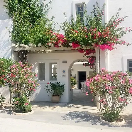 Aparthotel Despina's Mare Nausa