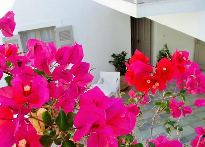 Despina's Mare 4* Νάουσα