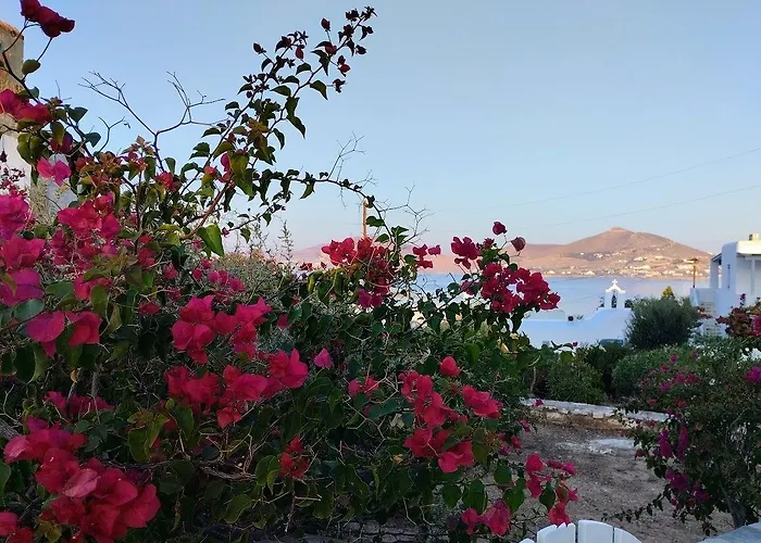 Despina's Mare Νάουσα