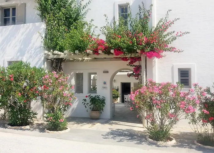 Ξενοδοχείο με διαμερίσματα Despina's Mare Νάουσα