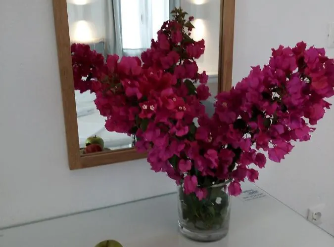 Despina's Mare 4* Νάουσα